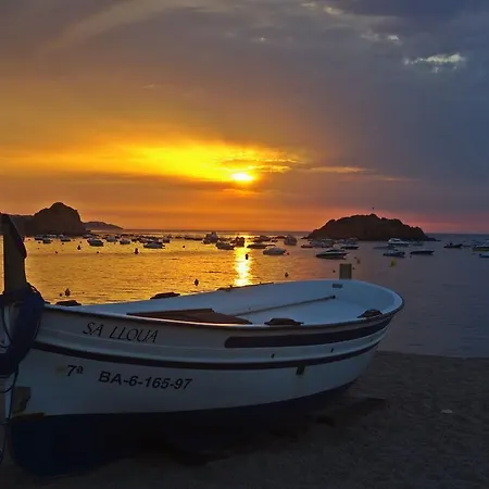 Lets Holidays Cozy Pool *